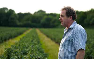 Q&A with Blackcurrant Grower John Hinchliff