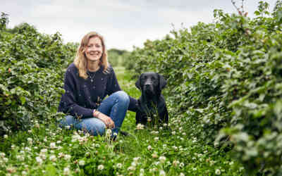 Harvest time with Rosie Begg